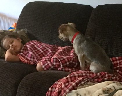Do You Have to Wait Until Someone Wakes Up?