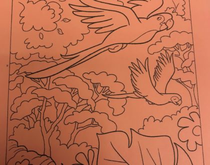 Coloring Outside the Lines