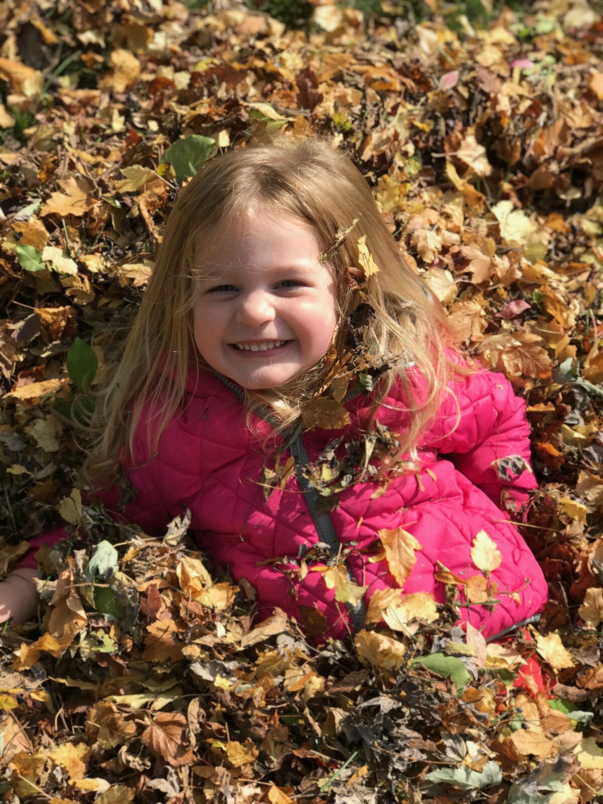 Eliminate Clutter, Embrace the Season, and Enjoy Preparing for Your Life!