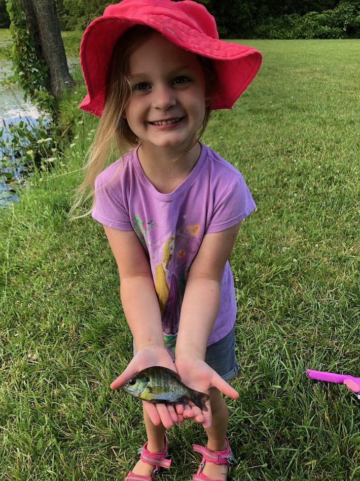 What are you Fishing for?