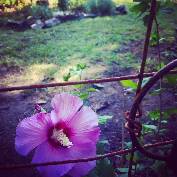 Labor Day helps us Transition into a New Season