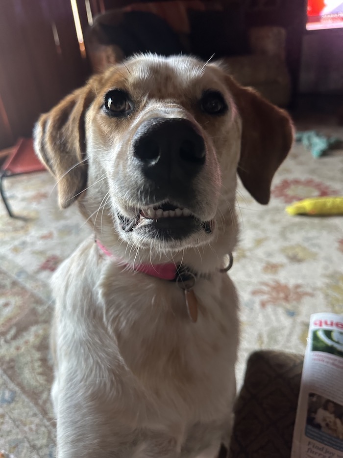 Distractions 101 – Trying to Avoid Them!
