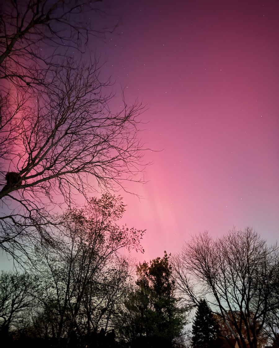 Opportunities to Rebuild – Episode 286