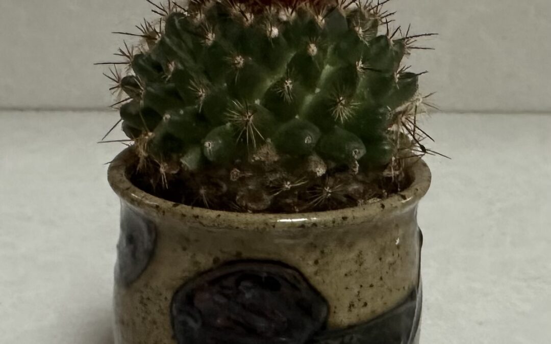 See Things in a New Way