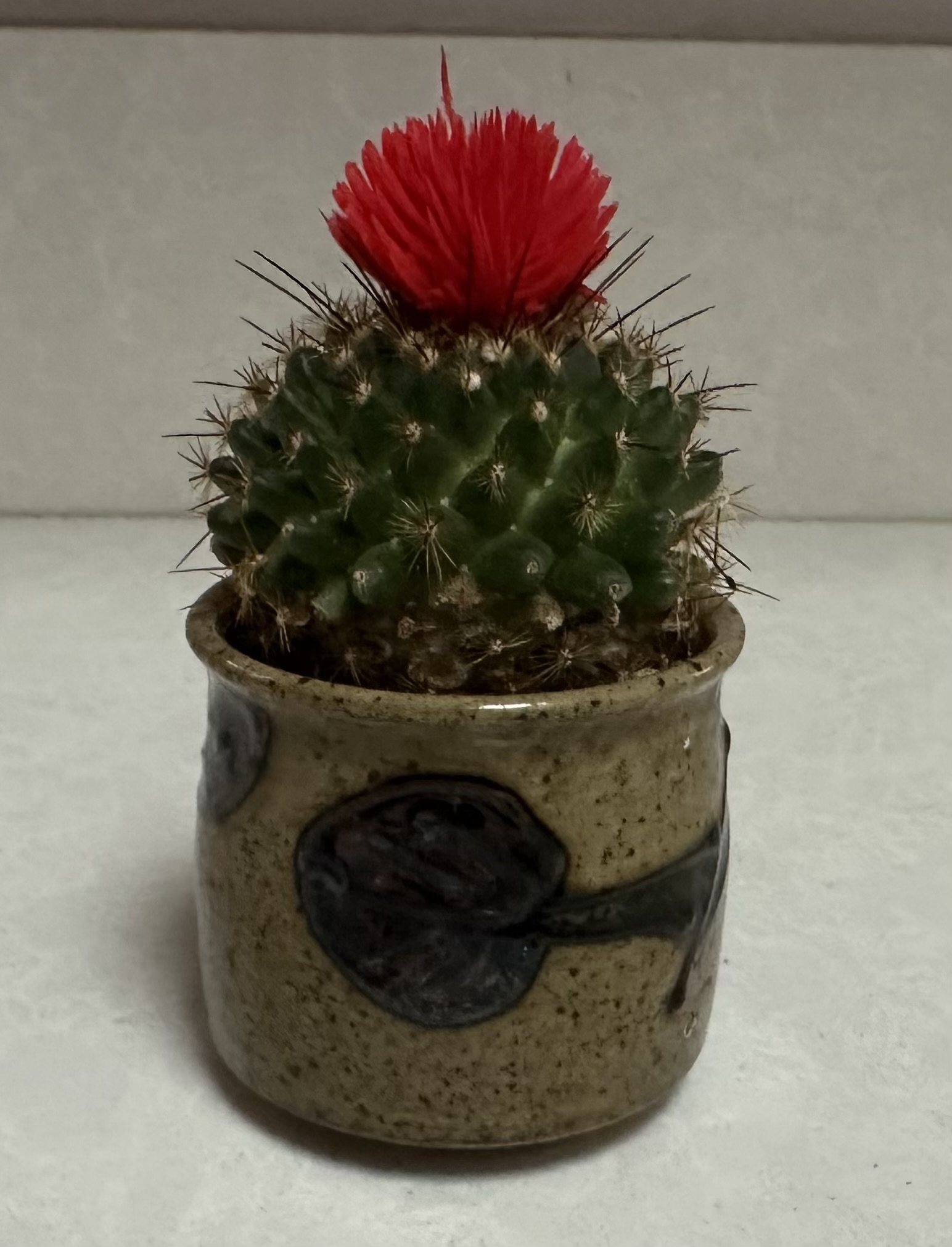 See Things in a New Way