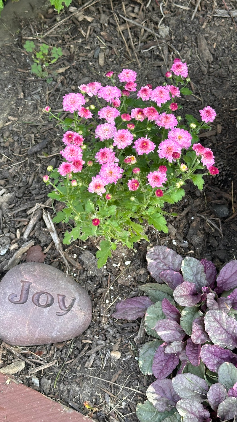 The Roadmaps of Joy: Finding Purpose in Life’s Transitions – Episode 302